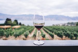 vino e cellulite: nemici o amici?