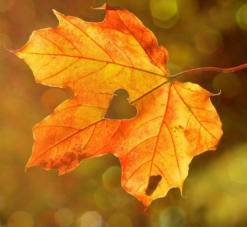 Esfoliazione: trattamenti d'autunno